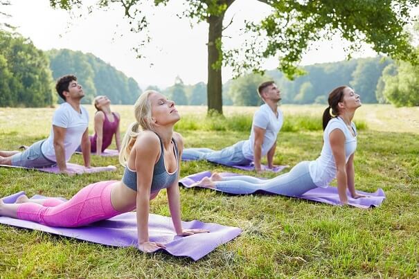 Yoga là gì? Nguồn gốc, lịch sử, lợi ích khoa học và hướng dẫn tập Yoga chi tiết cho người mới bắt đầu